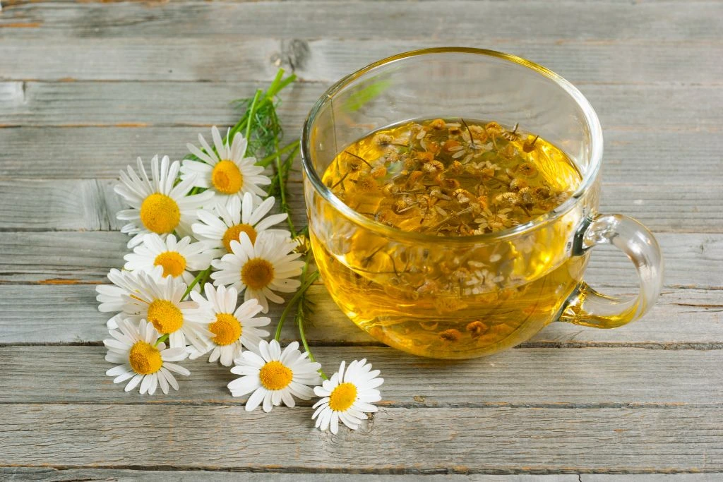 a cup of chamomile tea with chamomile flowers on a wood table