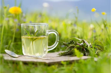 nettle tea on top of a plank with nettle leaves by its side