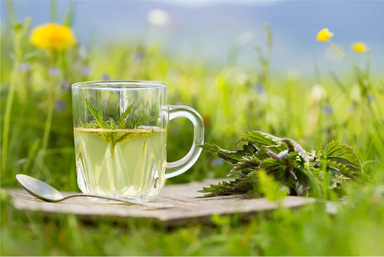 nettle tea on top of a plank with nettle leaves by its side