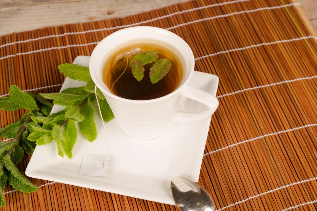 Spearmint Tea on a glass with Spearmint leaves on top of the tea