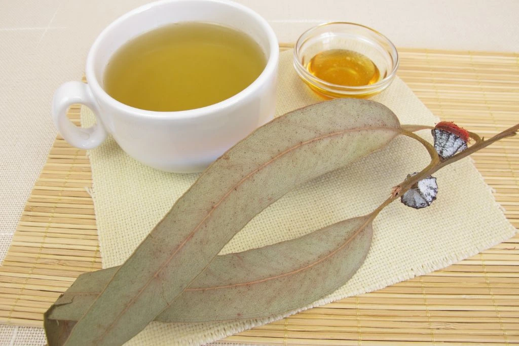 a cup of eucalyptus tea with eucalyptus leaves on a wood placemat