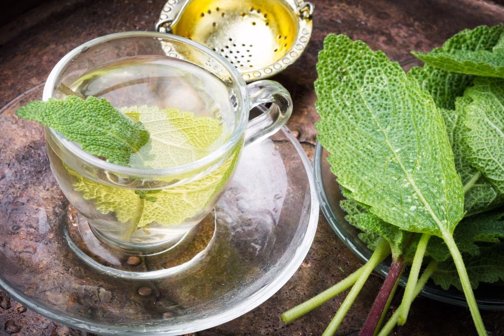 Herbal Sage Tea in a cup