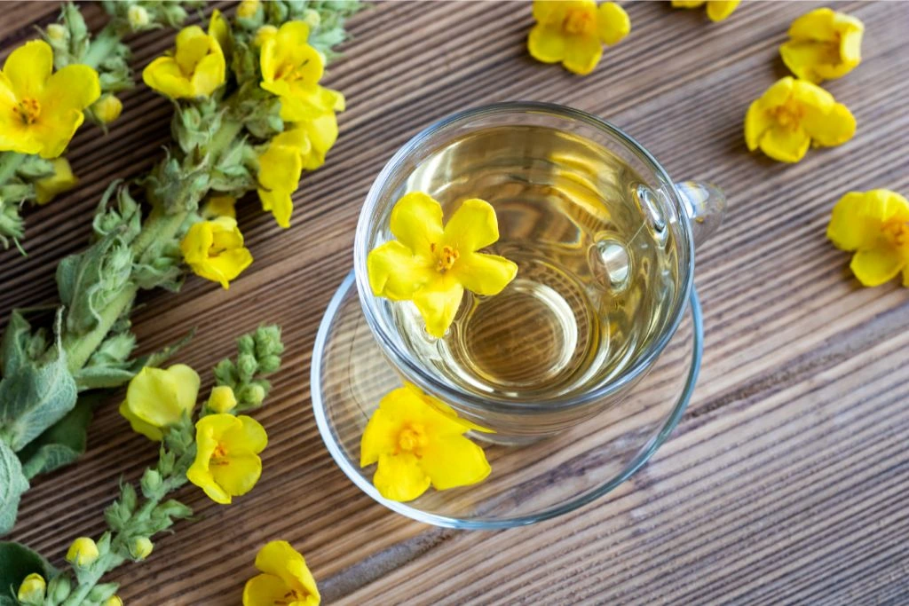a cup of mullein tea with flowers on a wood table