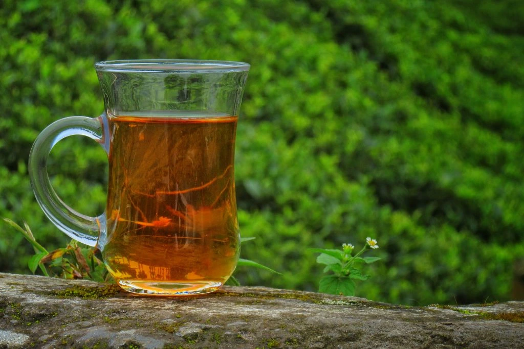 A cup of tea on a pavement in nature