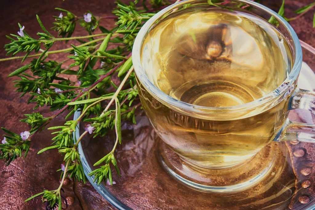 Oregano Tea in a glass cup surrounded with oregano leaves