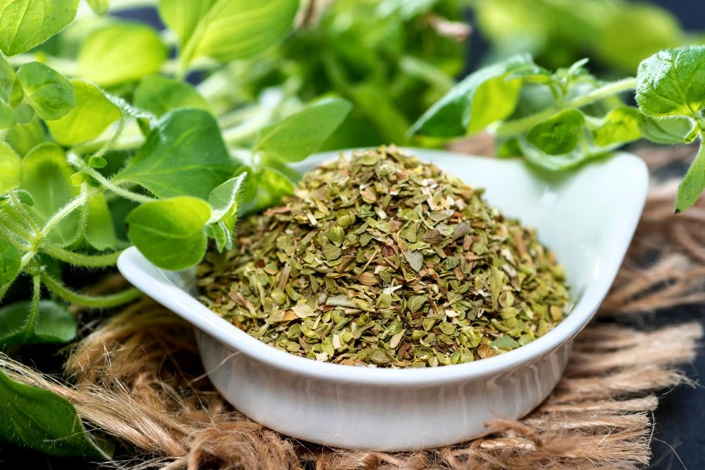 Oregano leaves in chunked style placed on a glass-shaped bowl