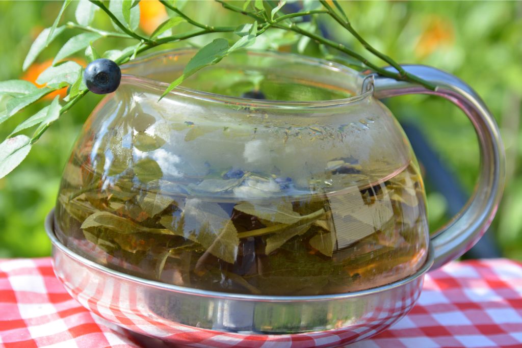 Bilberry Tea in a pot