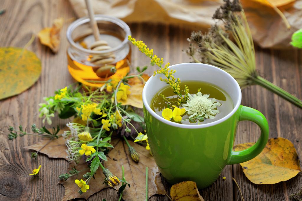 Gorse Flower Tea in a cup