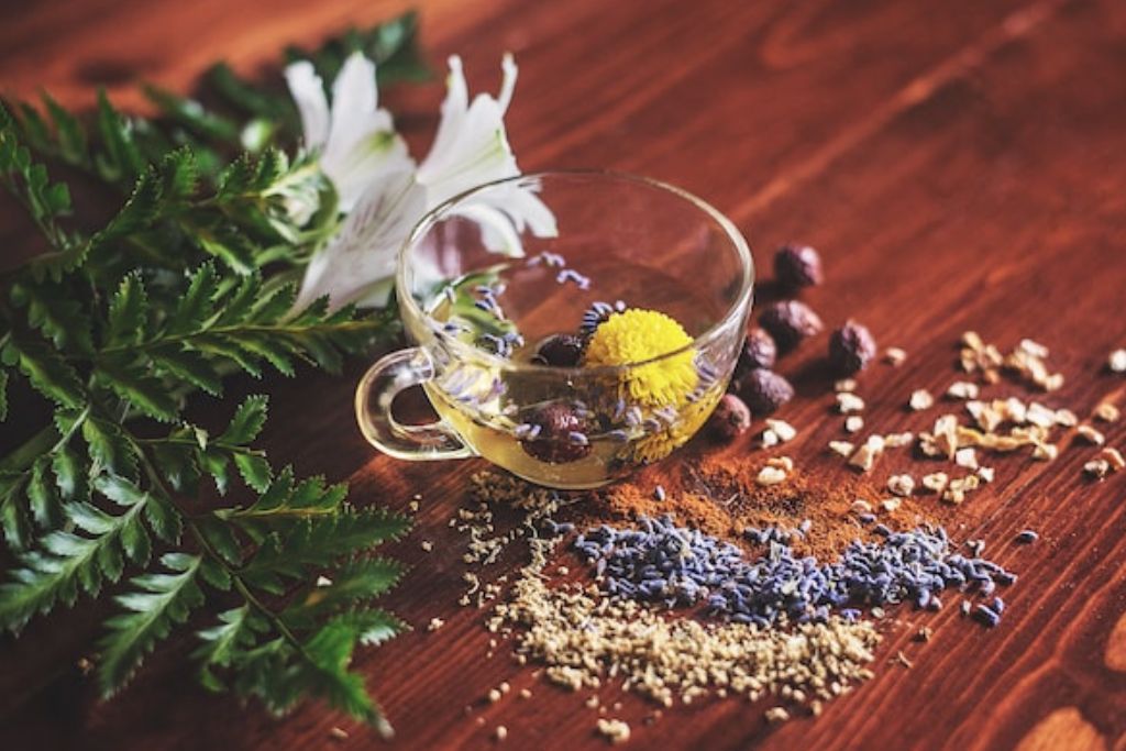 Herbal Tea surrounded by leaves and powder ingredients