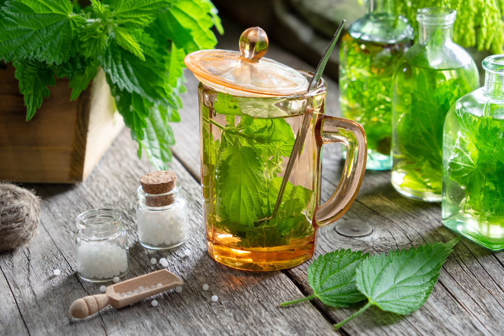 nettle tea