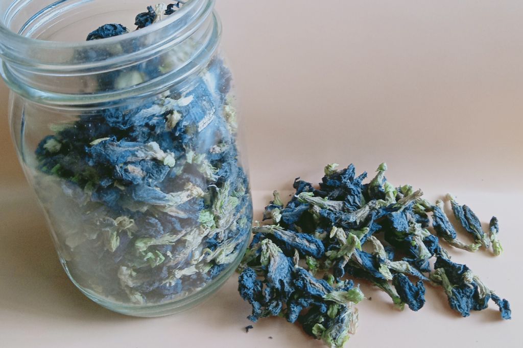 dried butterfly pea leaves in a jar