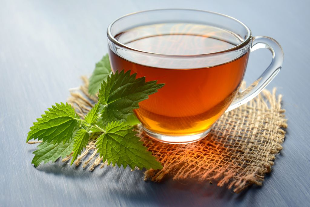 Herbal tea with mint leaves 