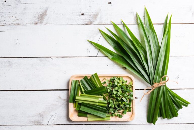 small pieces pandan leaves on a wooden plate with freshly cut pandan leaves on the side